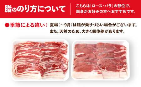 ジビエ 猪肉 スライス 1kg 雲仙いのしし / 肉 イノシシ ジビエ いのしし 焼肉 ぼたん鍋 いのしし肉 イノシシ肉 ジビエ いのしし 切り落とし 猪肉 猪 長崎県猪 九州産猪 長崎県産猪 ジビエ肉 低カロリー BBQ バーベキュー 冷凍 / 南島原市 / もりのめぐみ [SDB011]