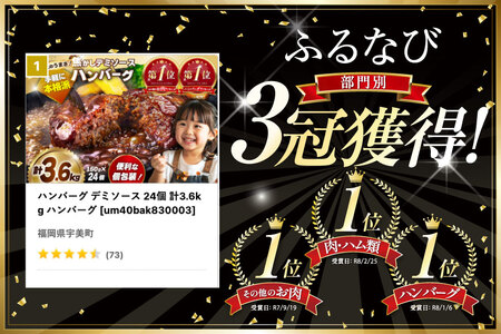 ハンバーグ デミソース 24個 計3.6kg ハンバーグ [um40bak830003]