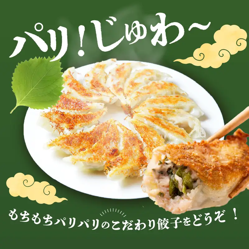 餃子専門店の餃子 しそ餃子 54個入り A02036