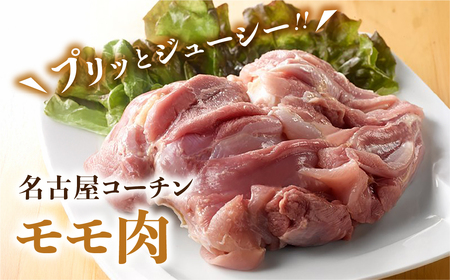 名古屋コーチン もも肉 2kg 地鶏 鶏肉 さんわ 鶏肉