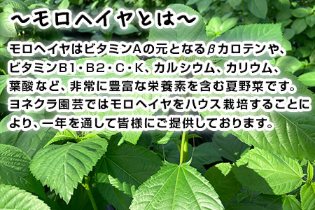 『先行予約』【12月上旬より順次発送】冬穫れハウスモロヘイヤ 100g×10袋 ネバネバ 高栄養価（βカロテン/各種ビタミン/カルシウム/カリウム/葉酸など) 定番おひたし 和洋中の各種スープ 色んなお料理のソースにも 野菜 ねばねば