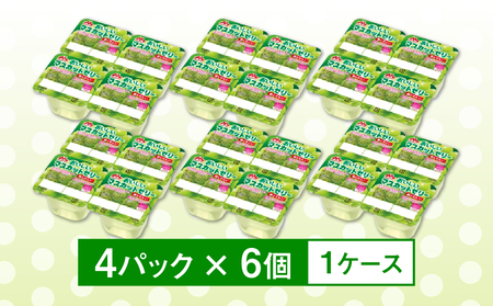 【10ヵ月定期便】森永 おいしいマスカットゼリー鉄＆せんい 1ケース（4P×6個）｜鉄分 食物繊維 着色料不使用 ゼリー マスカット
