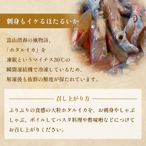 生冷凍ホタルイカ（凍眠） 100g 富山県 氷見市 ほたるいか しゃぶしゃぶ 冷凍