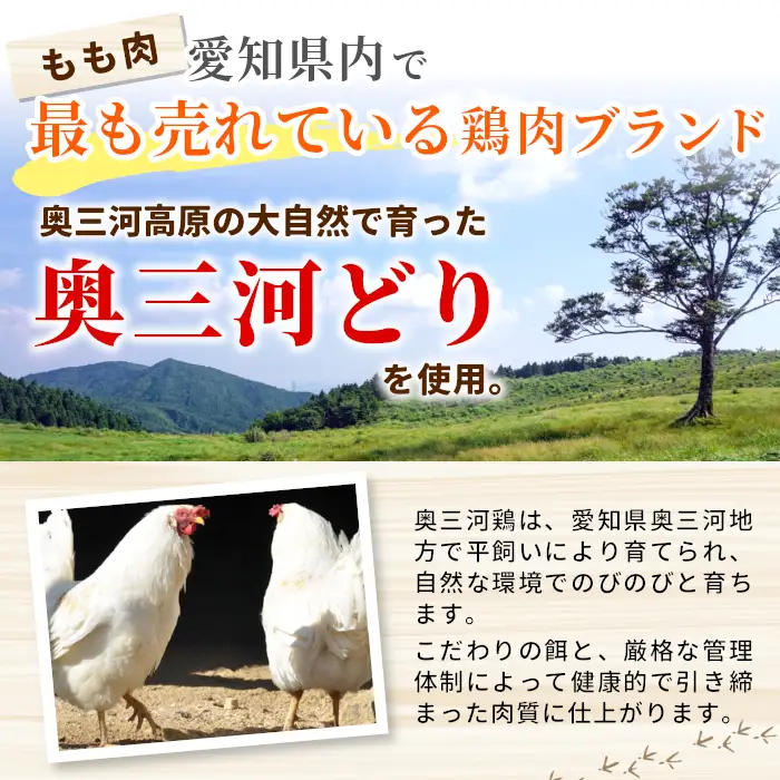 奥三河どり使用！ 田口塩鶏 国産 若鶏味付け肉 2種セット（せせり・もも肉）合計900g もも肉 500g せせり 400g 塩ダレ 味付け肉 鶏肉 鶏 肉 キャンプ バーベキュー 味付け肉 大容量 手軽 焼くだけ 地鶏 焼肉 焼き鳥 -171
