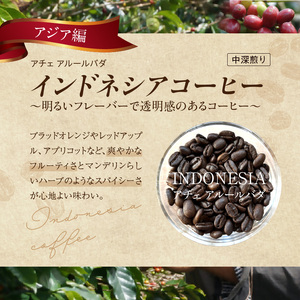 風味際立つ　手鍋焙煎コーヒー豆(アジア編)200g×2袋 _SC0107