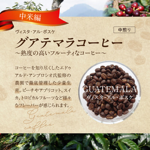 風味際立つ　手鍋焙煎コーヒー豆(中米編)200g×2袋 _SC0207