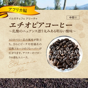 風味際立つ　手鍋焙煎コーヒー豆(アフリカ編)200g×2袋 _SC0407