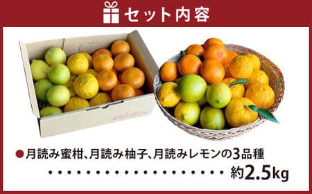 にしだ果樹園の熊本県産月読み果実3色詰め合わせ（3品種）【2026年11月上旬発送開始】みかん 柚子 ゆず レモン フルーツ 果物 熊本