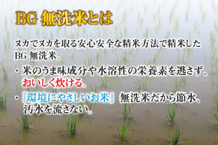 【令和７年産 毎月定期配送・計3回】 BG無洗米みずかがみ10kg×3回 [K-00405] / 無洗米