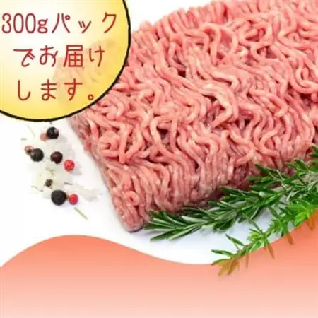博多和牛100%ミンチ(挽肉)【訳あり】600g(300g×2個)(大牟田市)【配送不可地域：離島】【1608338】