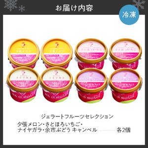ジェラートフルーツセレクション（さとほろいちご2個・ナイヤガラ・2個・余市ぶどう”キャンベル”2個・夕張メロン2個）