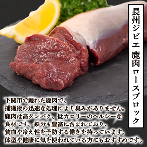 訳あり 鹿肉 ロース ブロック 約 1kg 冷凍 ジビエジビエ BM109