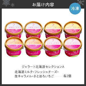 ジェラート北海道セレクションA（北海道ミルク2個・フレッシュチーズ2個・生キャラメル2個・さとほろいちご2個）