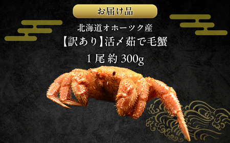 【訳あり】活〆茹で毛蟹1尾 約300g 【ふるさと納税 人気 おすすめ ランキング カニ かに 蟹 毛がに 毛蟹 毛ガニ 活〆 茹で 茹で毛ガニ 活〆毛ガニ 活〆毛がに 訳あり 海鮮 オホーツク 北海道 網走市 送料無料 】  ABAO2199