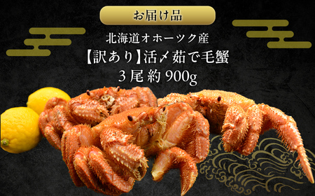 【訳あり】活〆茹で毛蟹3尾 約900g 【ふるさと納税 人気 おすすめ ランキング カニ かに 蟹 毛がに 毛蟹 毛ガニ 活〆 茹で 茹で毛ガニ 活〆毛ガニ 活〆毛がに 訳あり 海鮮 オホーツク 北海道 網走市 送料無料 】  ABAO2200