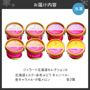 ジェラート北海道セレクションB（北海道ミルク2個・余市ぶどう“キャンベル”2個・生キャラメル2個・夕張メロン2個）