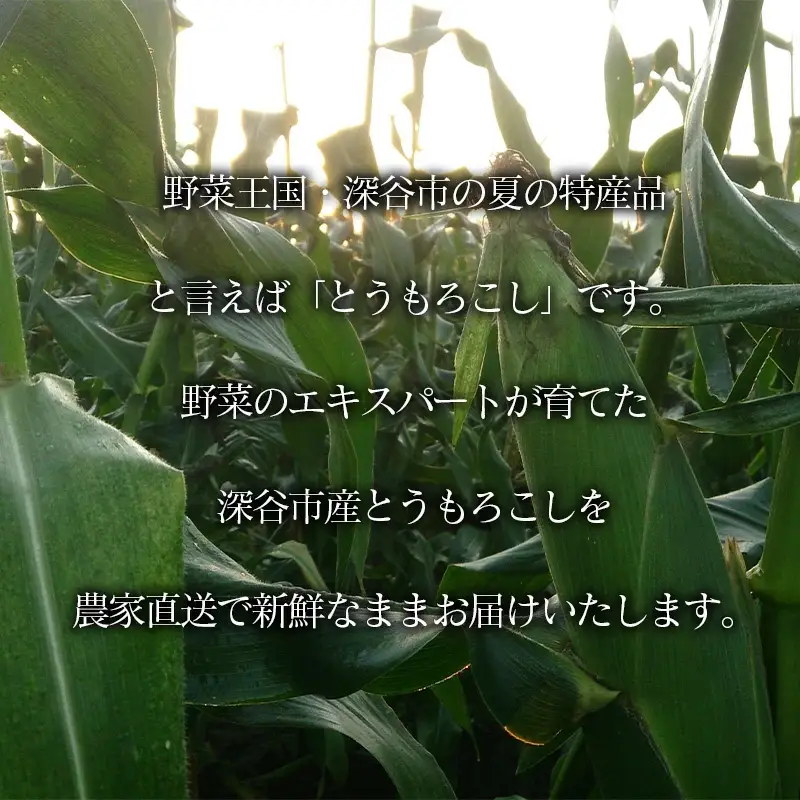 ＜先行予約＞【6・7月出荷】農家直送！とうもろこし　プレミアム味来　10本箱詰め　【11218-0926】