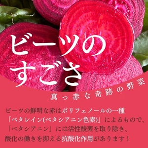 レッド パワー ビーツ 約1.5kg | 野菜 ビーツ 生ビーツ レッドパワー レッドパワービーツ 長野県 信州 南信州 飯田市