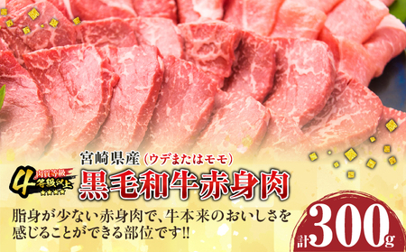数量限定 黒毛和牛 赤身肉 豚焼肉 食べ比べ セット 合計800g 牛肉 豚肉 ウデ モモ 豚ロース 肩ロース_C153-25