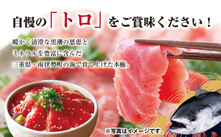 刺し身 本マグロ 600g 詰め合わせ 刺身 お刺し身 柵 マグロ 鮪