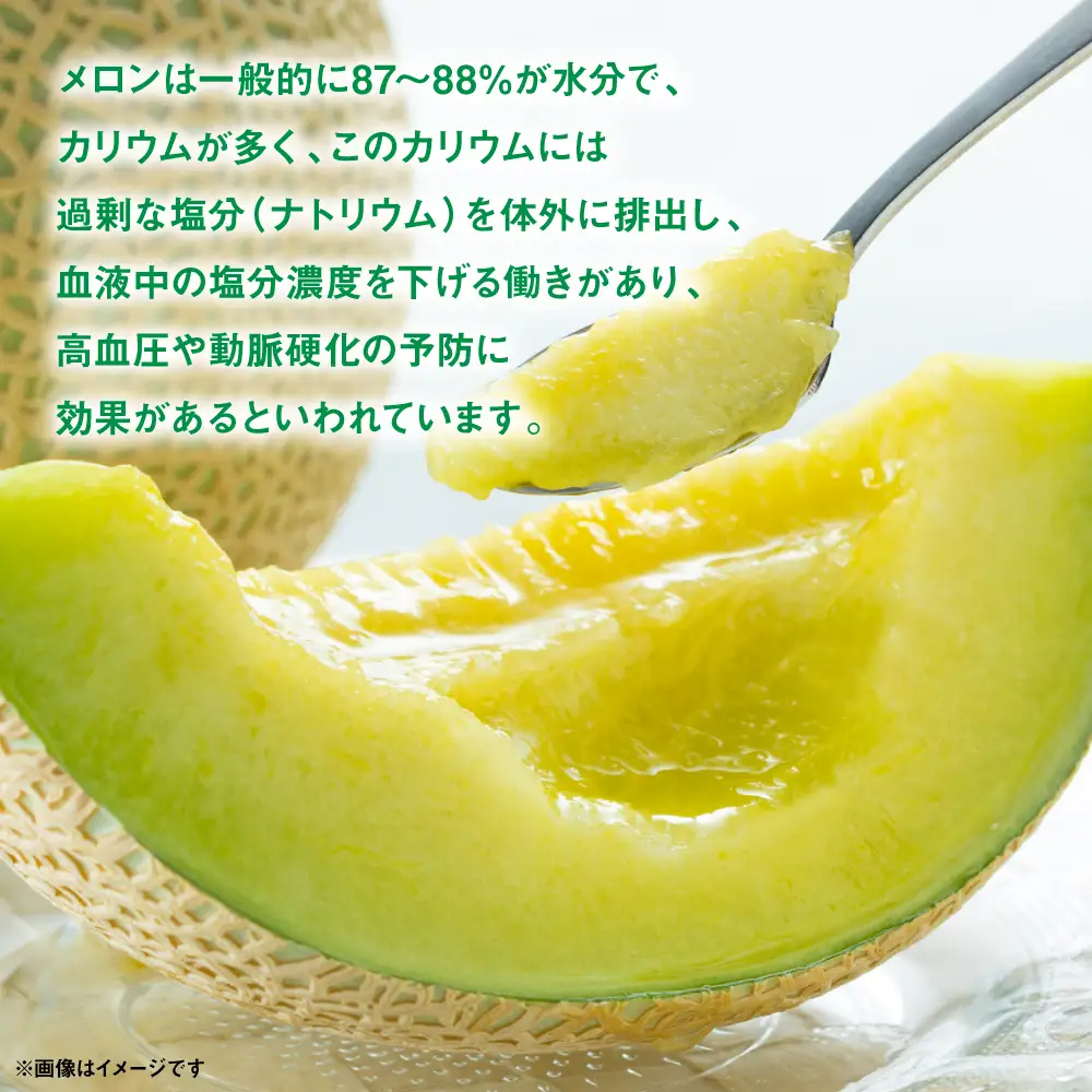 メロン 肥後グリーン ＆ レノンメロン 食べ比べセット 合計2玉 4L以上（合計4kg以上） 果物 メロン