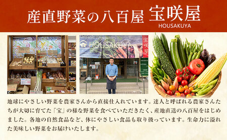 うどん かえるうどん 細麺 太麺 2種 4袋 野木町産小麦100％《30日以内に出荷予定(土日祝除く)》 宝咲屋 麺類 麺 栃木県 野木町