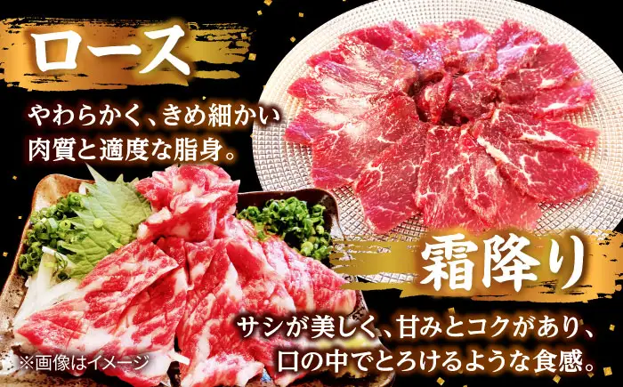 馬刺し 部位堪能 7種 食べ比べ ブロック 計約510g  馬刺し[AYAF019]
