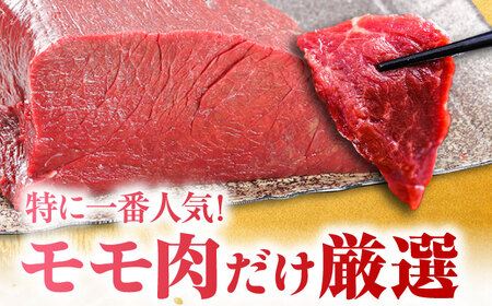 『純国産』熊本の味 上赤身 馬刺し 計約1kg（約200g×5パック）ブロック チルド 冷蔵 馬刺し [AYCN036]