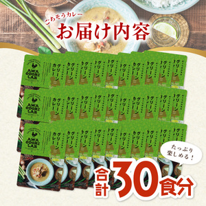 阿波尾鶏 グリーンカレー 30食 辛口 カレー タイカレー タイ料理 レトルト 阿波尾鶏 AWAODORI LAB 徳島 地鶏 あわおどり