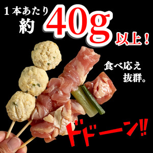 焼き鳥 セット 54本 国産 焼き鳥
