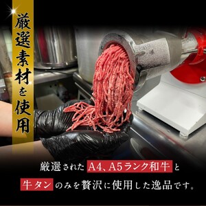 味園特選 ハンバーグセット 180g×5個 国産 黒毛和牛 牛タン ／ 高級ギフト 焼肉ホルモン味園 奈良県 葛城市【ajen001】