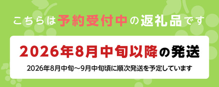 【2026年8月より順次発送】シャインマスカット（1房：500g以上)_シャインマスカット 1房 500g以上 九州 温暖 気候 活かす 農家 こだわり ご家庭用 先行受付 皮ごと食べられる 上品 甘さ フルーツ 果実 果物 ぶどう マスカット デザート おやつ お取り寄せ 福岡県 久留米市 送料無料 〔Fg012〕