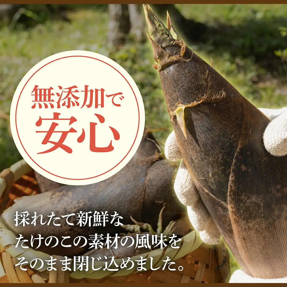 篠栗産たけのこの水煮200g×3パック BZ025