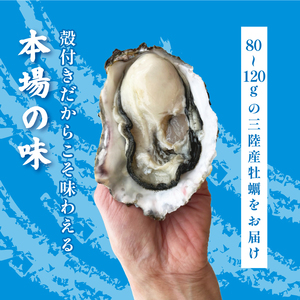 生食可 冷凍牡蠣 12個 殻付き牡蠣
