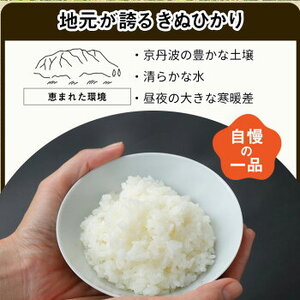 【12回定期便】きぬひかり 5kg 定期便 精米 白米