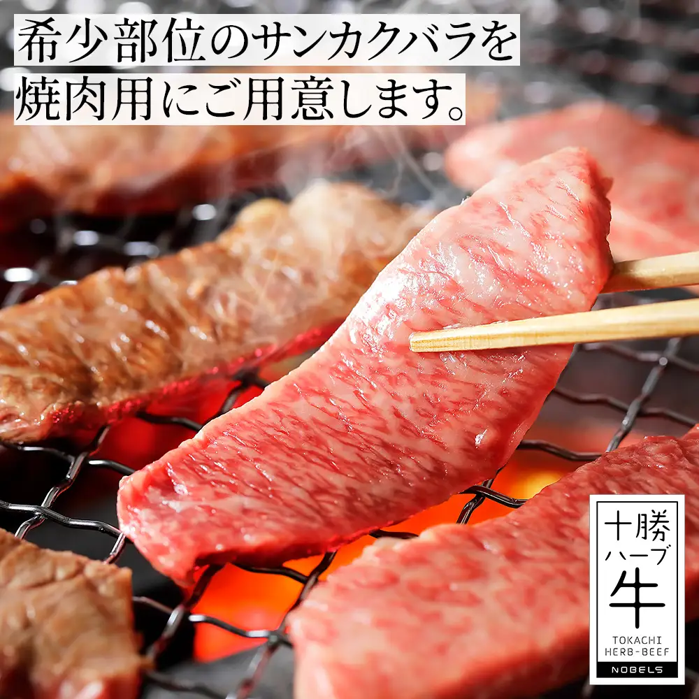 十勝ハーブ牛 特上カルビ 焼肉 500g サンカクバラ 三角バラ 国産 北海道 牛 肉 牛肉 赤身 真空パック キャンプ アウトドア バーベキュー BBQ 冷凍