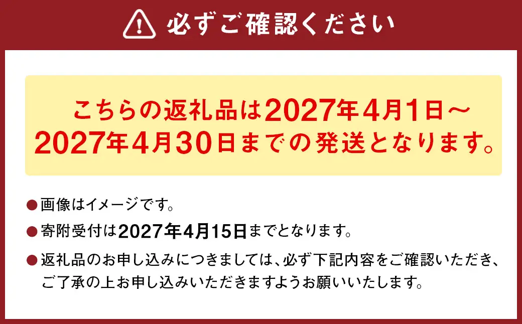熊本県産 朝掘り 筍 約4kg 【2027年4月上旬発送開始】 たけのこ タケノコ 野菜