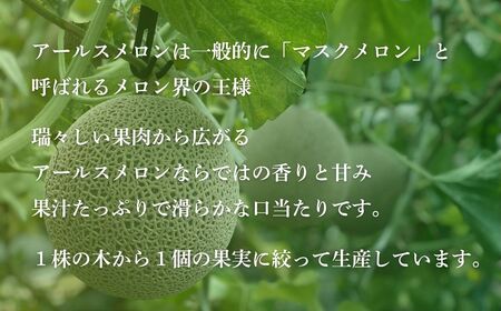 【先行予約】アールスメロン 1玉（1.7kg以上）化粧箱入り 令和8年8月上旬より順次発送 先行予約 マスクメロン