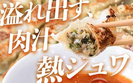「下仁田名産シリーズ」 下仁田ねぎ殿様餃子 60個（20個×3袋） 餃子 ぎょうざ ギョーザ 中華 冷凍餃子 おかず おつまみ 惣菜 マツコの知らない世界 F21K-488