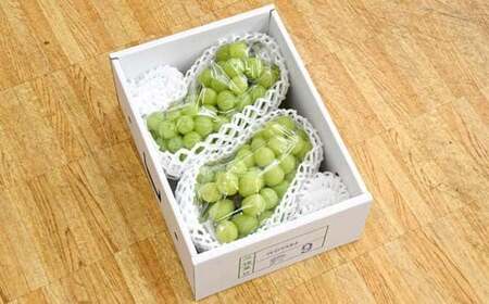 シャインマスカット 900g×2房 ギフト箱入り 秀品 山形県産 【令和8年9月中旬発送】 FSY-2235