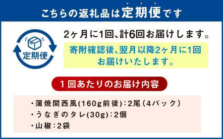 【年6回定期便】 うなぎの蒲焼 （関西風） を2ヶ月に1回 2尾 お届け （合計12尾） 鰻 ウナギ 鰻の蒲焼 蒲焼き タレ うなぎのタレ 山椒 国産