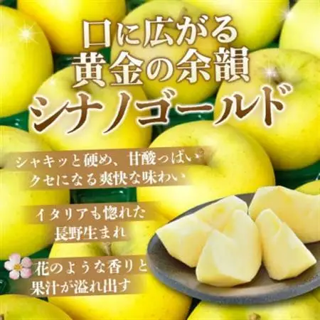 【26年11月から順次発送】平均糖度13度以上! シナノゴールド 約5kg 訳あり 青森 りんご【配送不可地域：沖縄県】【1610223】