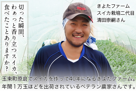 【先行予約】すいか 1玉 8~10kg きよたファーム  期間限定｜すいか