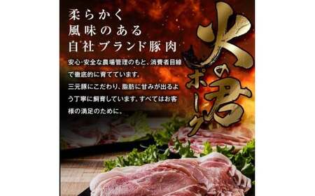 FK7-0020_【数量限定】熊本県産 火の君ポーク(登録商標) 5種詰合せ 約2kg 豚こま 豚コマ ロース バラ 肉 豚肉しゃぶしゃぶ 生姜焼き 豚汁 弁当 焼肉 ストック 便利

