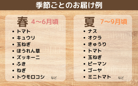 【12ヶ月定期便】 新鮮野菜の産直 7～10品目 野菜