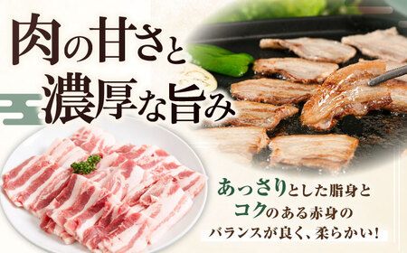【全3回定期便】平田牧場 バラ 焼肉用 400g (200g×2P) 豚肉 カルビ スライス [AJAP156]
