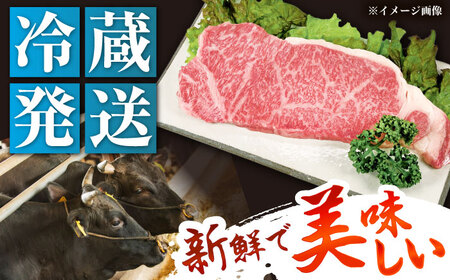 飛騨牛 A5 サーロイン 200g×2枚 / 恵那市 / 東美濃農業協同組合 [AUFX011]