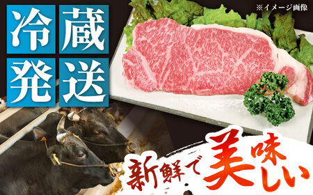 飛騨牛 A5 サーロイン 200g×4枚 / 恵那市 / 東美濃農業協同組合 [AUFX013]