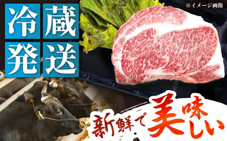 飛騨牛 A5 リブロース 300g×3枚 / 恵那市 / 東美濃農業協同組合 [AUFX022]