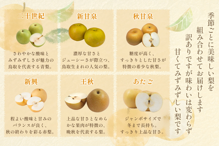 【2026・先行予約】訳あり 鳥取県産旬の梨セット 4kg｜鳥取 果物 フルーツ なし 梨 2026年収穫後【41044】